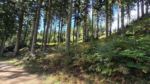 Hüggel Runde zum Silbersee