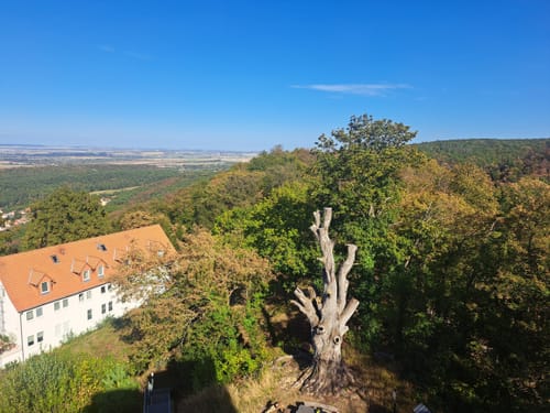 Burgberg ab Stecklenberg
