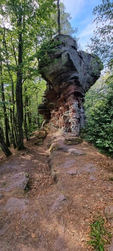 7 Burgentour - Pfälzer Wald/Nordvogesen