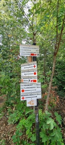 7 Burgentour - Pfälzer Wald/Nordvogesen