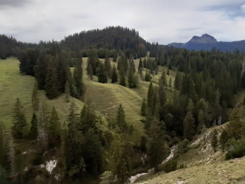 Zur Königsalm