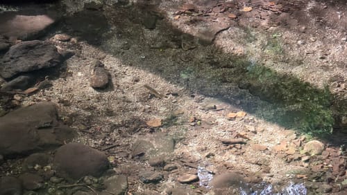 Geroldsauer Wasserfall-Rundweg