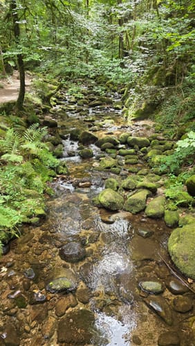 Geroldsauer Wasserfall-Rundweg