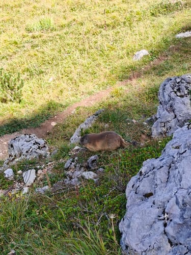 Vom Königssee zum Kärlingerhaus am Funtensee