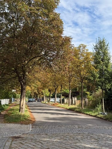 Von Borgsdorf nach Birkenwerder durchs Briesetal