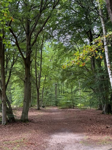 Von Borgsdorf nach Birkenwerder durchs Briesetal