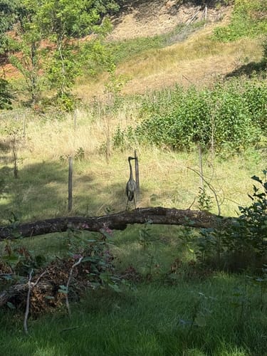 Schnapsbrunnenweg 2