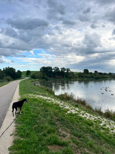 Rund um den Bucher Stausee