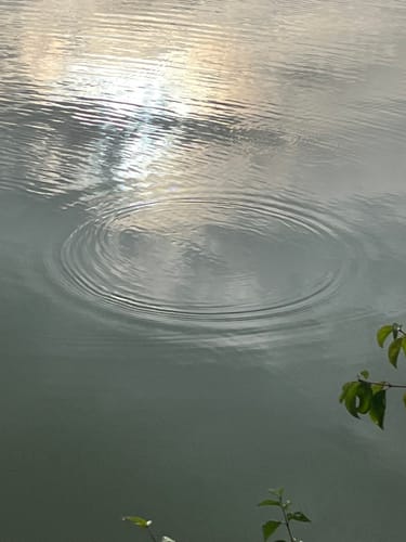 Rund um den Bucher Stausee