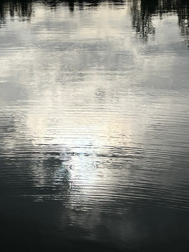 Rund um den Bucher Stausee