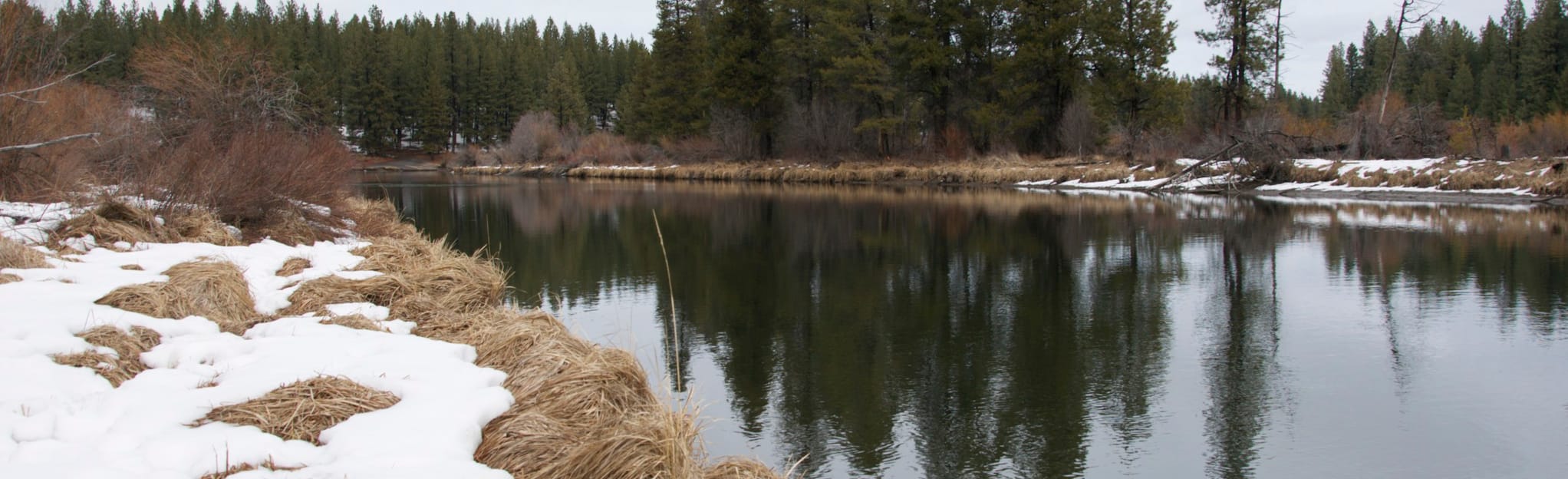 Deschutes River Trail Dillon Falls - EyJidWNrZXQiOiJhc3NldHMuYWxsdHJhaWxzLmNvbSIsImtleSI6InVwbG9hZHMvcGhvdG8vaW1hZ2UvMTM3NzAyODUvODRmNzA4ZGYyMTQxOGYwNzkyYjUwNDU1YzUwNGU5ZWUuanBnIiwiZWRpdHMiOnsidG9Gb3JtYXQiOiJqcGVnIiwicmVzaXplIjp7IndpZHRoIjoyMDQ0LCJoZWlnaHQiOjYyNCwiZml0IjoiY292ZXIifSwicm90YXRlIjpudWxsLCJqcGVnIjp7InRyZWxsaXNRdWFudGlzYXRpb24iOnRydWUsIm92ZXJzaG9vdERlcmluZ2luZyI6dHJ1ZSwib3B0aW1pc2VTY2FucyI6dHJ1ZSwicXVhbnRpc2F0aW9uVGFibGUiOjN9fX0=