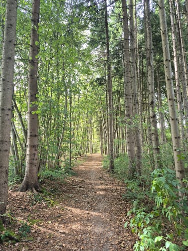 König-Ludwig-Weg Etappe 1: Berg - Dießen