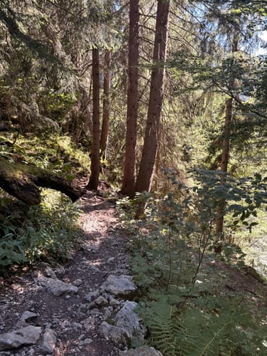 Wallberg und Setzberg Runde