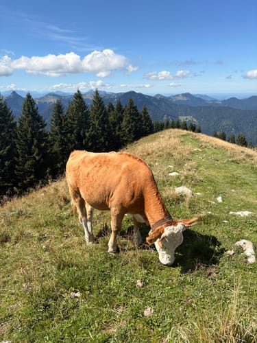 Wallberg und Setzberg Runde