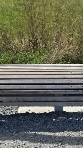 Musenberg ab Stryck