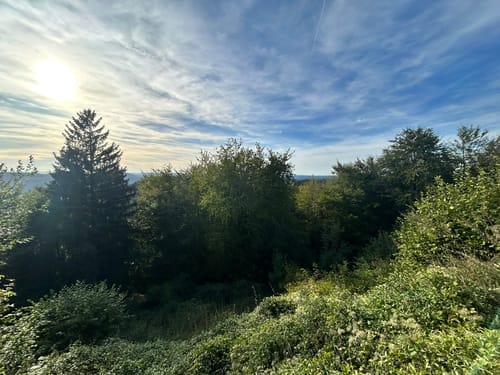 Gimbelhof - Nothweiler