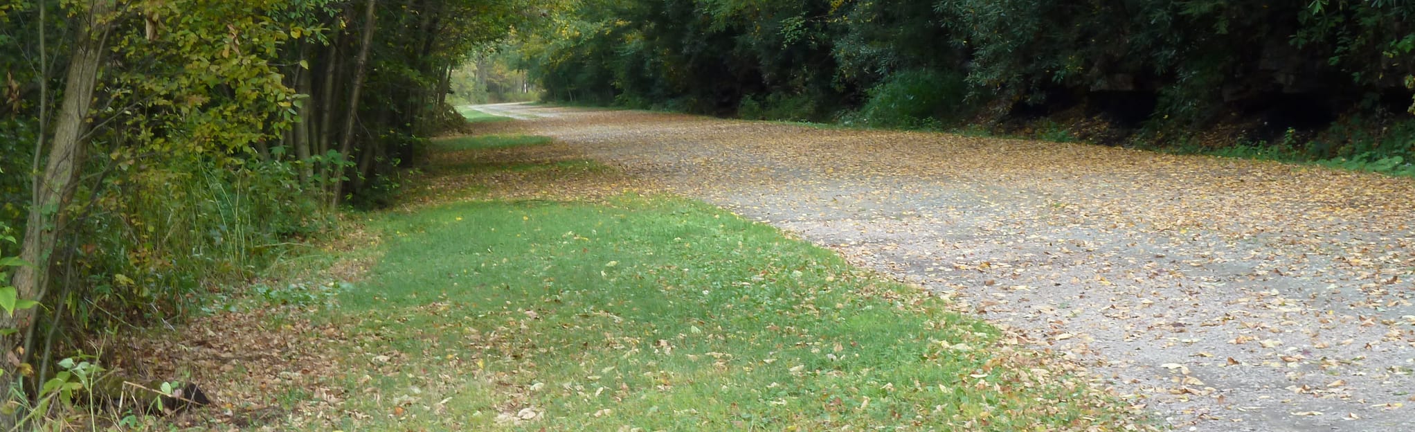 Allegheny Highlands Trail Markleton to Rockwood, Pennsylvania 39 Reviews, Map AllTrails