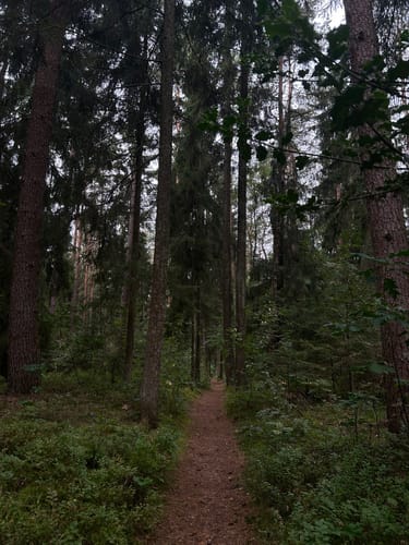 Oberhaverbeck - Suhorn - Wulfsberg