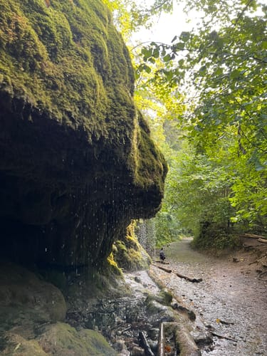 Wutachschlucht Rundweg [CLOSED]