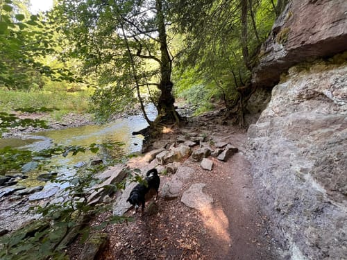 Wutachschlucht Rundweg [CLOSED]
