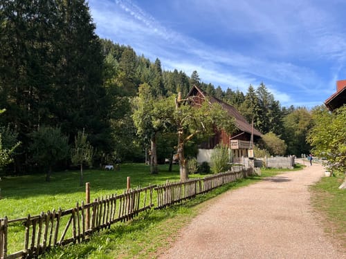 Wutachschlucht Rundweg [CLOSED]
