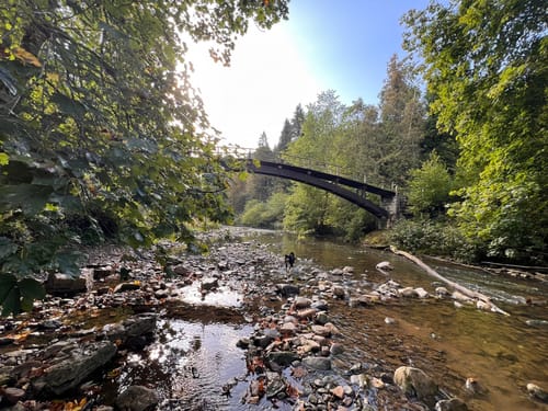 Wutachschlucht Rundweg [CLOSED]