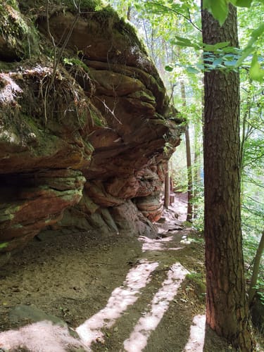 Dahner Felsenpfad (Premiumwanderweg)