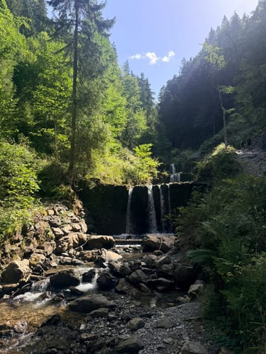Aus Reichenbach zum Unteren Gaisalpsee
