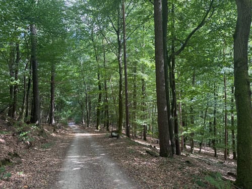 Römerpfad (Premiumwanderweg)