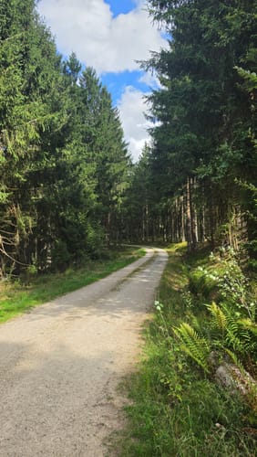 Ölmühlentour (Traumschleife)