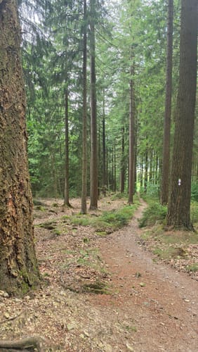 Ölmühlentour (Traumschleife)
