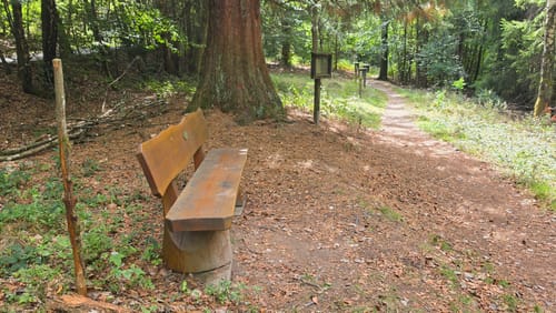 Ölmühlentour (Traumschleife)