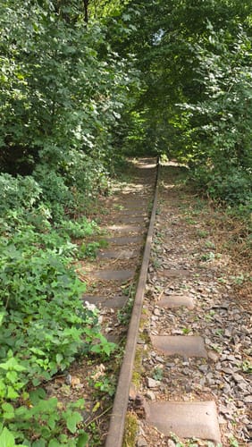 Ölmühlentour (Traumschleife)