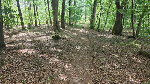 Ölmühlentour (Traumschleife)
