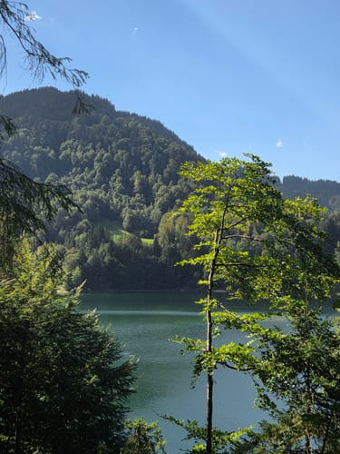 Rund um den Freibergsee