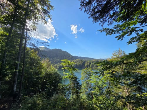 Rund um den Freibergsee