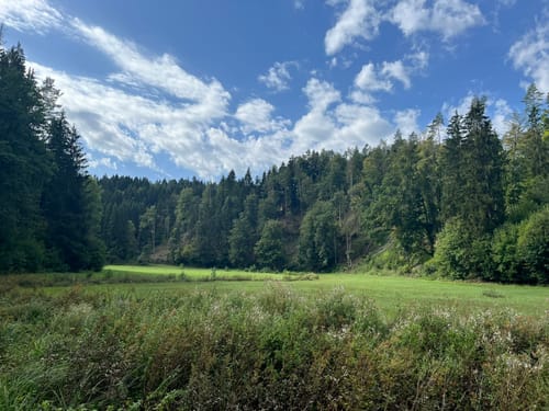 Waischenfeld nach Kuchenmühle
