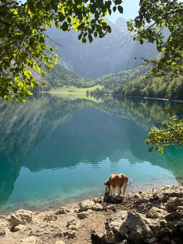 Königssee zum Röthbach Wasserfall