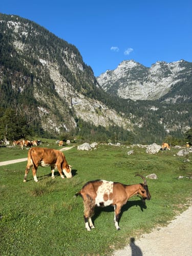 Königssee zum Röthbach Wasserfall