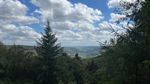 Von Bollendorf zum Marie-Theresien-Stein
