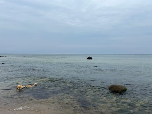 Märchenwald Rügen - Strand Rundweg