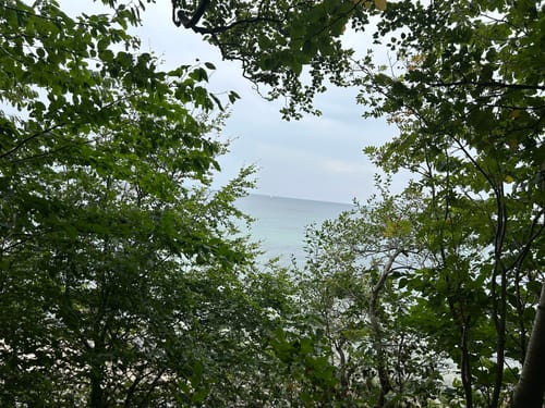 Märchenwald Rügen - Strand Rundweg