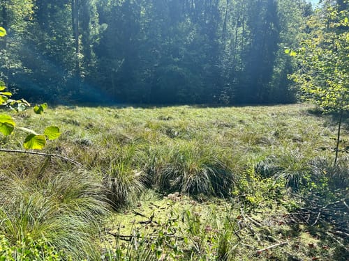 Hechtsee -Thierberg Runde