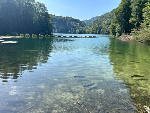 Hechtsee -Thierberg Runde