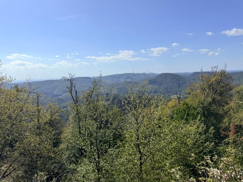 Fleckenstein - Loewenstein - Hohenbourg - Schlossberg