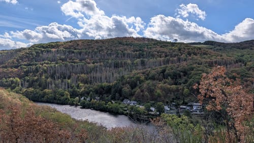 Über den Heimbacher Meuchelberg