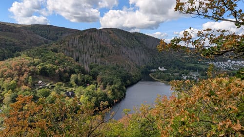 Über den Heimbacher Meuchelberg