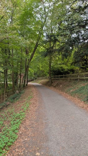 Miltenberg: Mildenburg - Stadtpark