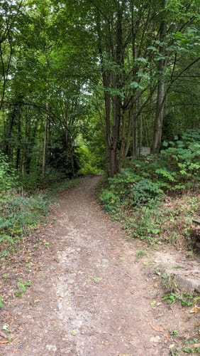 Miltenberg: Mildenburg - Stadtpark