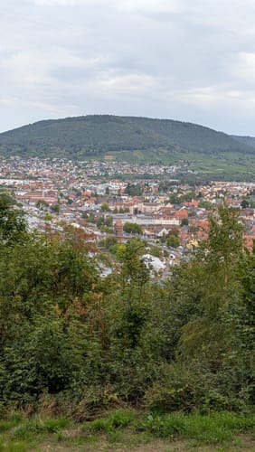 Miltenberg: Mildenburg - Stadtpark